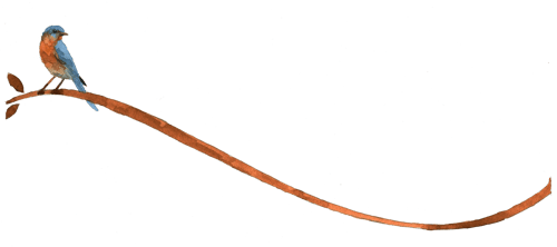 FLIPLogo+bird+watercolor+DKbranch1CO