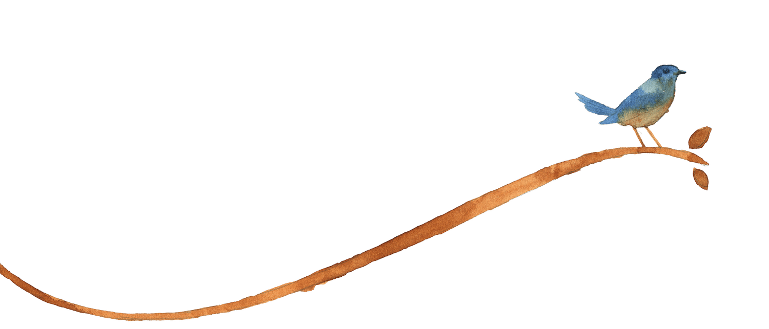 Logo-bird-watercolor-12