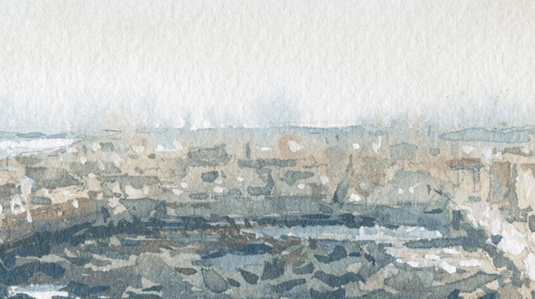 NewsletterCrop-CentralPark